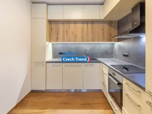 Pronájem bytu 2+kk, Olomouc, Třída Jiřího Pelikána, 59 m2