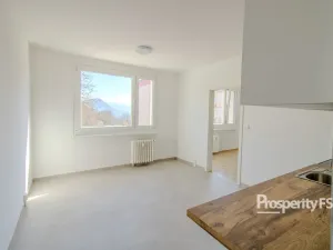 Pronájem bytu 1+1, Ústí nad Labem - Neštěmice, Hluboká, 37 m2