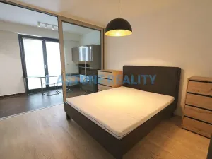 Prodej bytu 2+kk, Praha - Žižkov, Olšanská, 59 m2