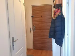 Pronájem bytu 1+1, Hradec Králové, Štefánikova, 40 m2