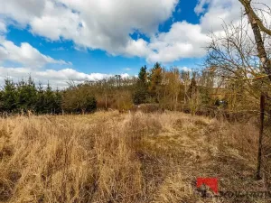 Prodej pozemku pro bydlení, Řepín, 707 m2