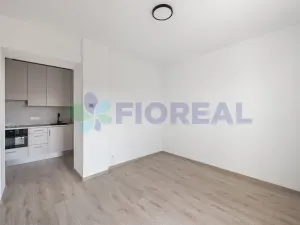 Pronájem bytu 1+kk, Praha - Strašnice, Na hroudě, 24 m2