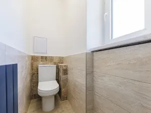 Pronájem bytu 2+1, Břidličná, 1. máje, 54 m2