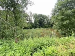 Dražba pozemku, Prusinovice, 2368 m2