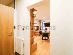 Pronájem bytu 1+kk, Brno, Cyrilská, 40 m2