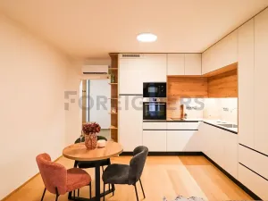 Pronájem bytu 1+kk, Brno, Cyrilská, 40 m2