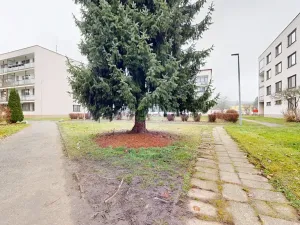 Pronájem bytu 3+1, Týnec nad Sázavou, Jílovská, 71 m2