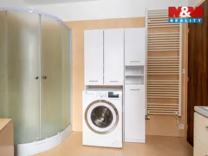 Prodej obchodního prostoru, Šumavské Hoštice - Kosmo, 316 m2