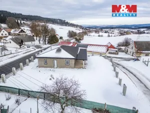 Prodej obchodního prostoru, Šumavské Hoštice - Kosmo, 316 m2