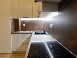 Pronájem bytu 2+kk, Plzeň, Říční, 47 m2