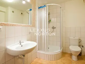 Pronájem bytu 5+1, Praha - Střešovice, Ve Střešovičkách, 174 m2