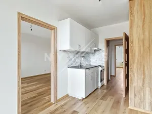 Pronájem bytu 3+1, Praha - Háje, Hekrova, 67 m2