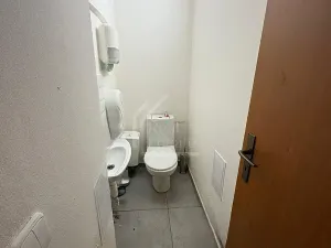 Pronájem restaurace, Praha, Rumunská, 85 m2