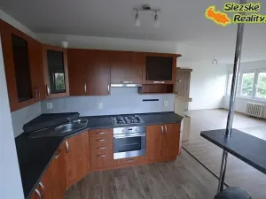 Prodej bytu 2+kk, Ostrava, Řecká, 65 m2