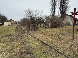 Prodej pozemku, Městec Králové, 2505 m2