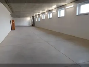 Pronájem výrobních prostor, Srubec, Ledenická-St. Pohůrka, 205 m2