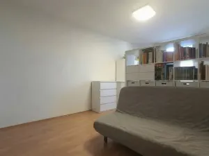 Pronájem bytu 1+1, Olomouc, Mlčochova, 55 m2