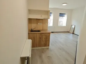 Pronájem bytu 1+kk, Praha - Hlubočepy, Na Zlíchově, 20 m2