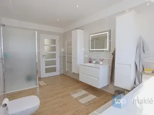 Prodej rodinného domu, Pyšely - Zaječice, Na Dolíku, 698 m2