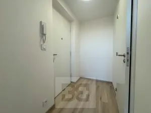 Pronájem bytu 1+kk, Brno, Jižní, 37 m2