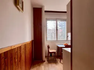 Prodej bytu 2+1, Brno, Vídeňská, 54 m2