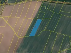 Prodej podílu pole, Rasošky, 955 m2