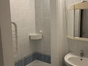 Pronájem bytu 1+1, Brno, bratří Čapků, 55 m2