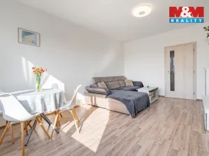 Prodej bytu 3+1, Písek - Pražské Předměstí, Na Pěníku, 67 m2