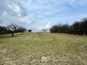 Prodej louky, Cetkovice, 5478 m2