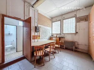 Pronájem výrobních prostor, Praha - Zbraslav, 463 m2