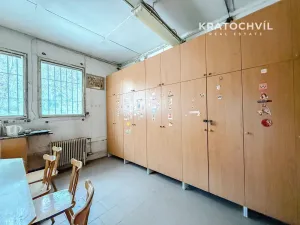 Pronájem výrobních prostor, Praha - Zbraslav, 463 m2