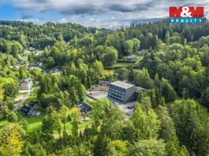 Prodej bytu 1+kk, Janov nad Nisou, 29 m2