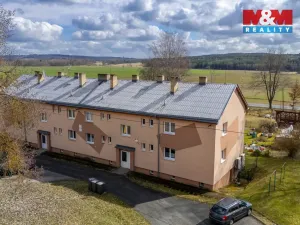 Prodej bytu 2+1, Bor - Vysočany, 63 m2