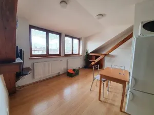 Prodej bytu 1+kk, Jihlava, Mahlerova, 38 m2