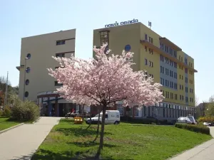 Pronájem kanceláře, Brno, Gajdošova, 88 m2