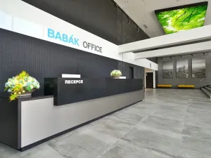 Pronájem kanceláře, Brno, Jana Babáka, 319 m2