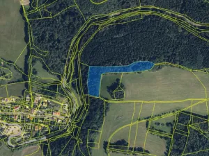 Prodej lesa, Zborov, 9290 m2