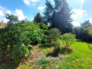 Prodej pozemku, Rybníky, 6544 m2