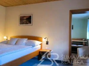 Prodej ubytování, Zdíkov - Nový Dvůr, 750 m2