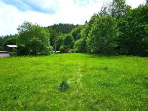 Prodej pozemku, Desná - Desná I, Údolní, 1668 m2