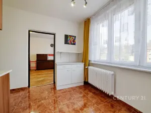 Prodej bytu 2+1, Aš, Hlavní, 59 m2