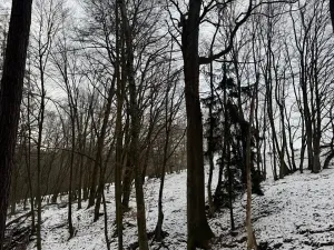 Prodej lesa, Vyškov, 1783 m2