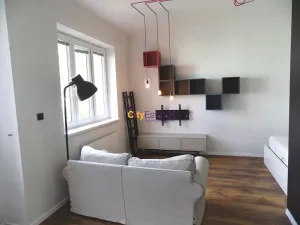 Pronájem bytu 1+kk, Praha - Nusle, Na Veselí, 45 m2