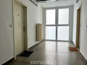 Prodej bytu 2+kk, Brno, Moldavská, 45 m2