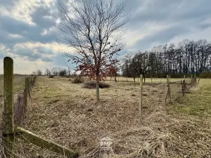 Prodej louky, Cetkovice, 3195 m2