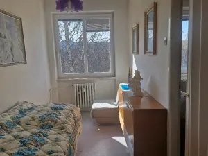 Prodej bytu 3+1, Břidličná, Dlouhá, 58 m2