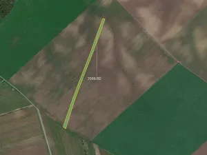 Prodej pole, Čejkovice, 8286 m2