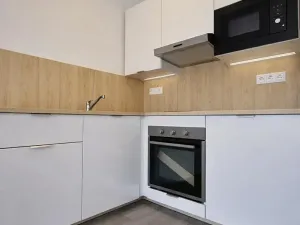 Pronájem bytu 1+kk, Olomouc, Eduarda Hamburgera, 27 m2