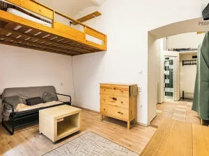 Pronájem bytu 1+1, Brno, Hlinky, 27 m2