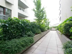 Pronájem bytu 2+kk, Praha - Žižkov, Prokopova, 58 m2